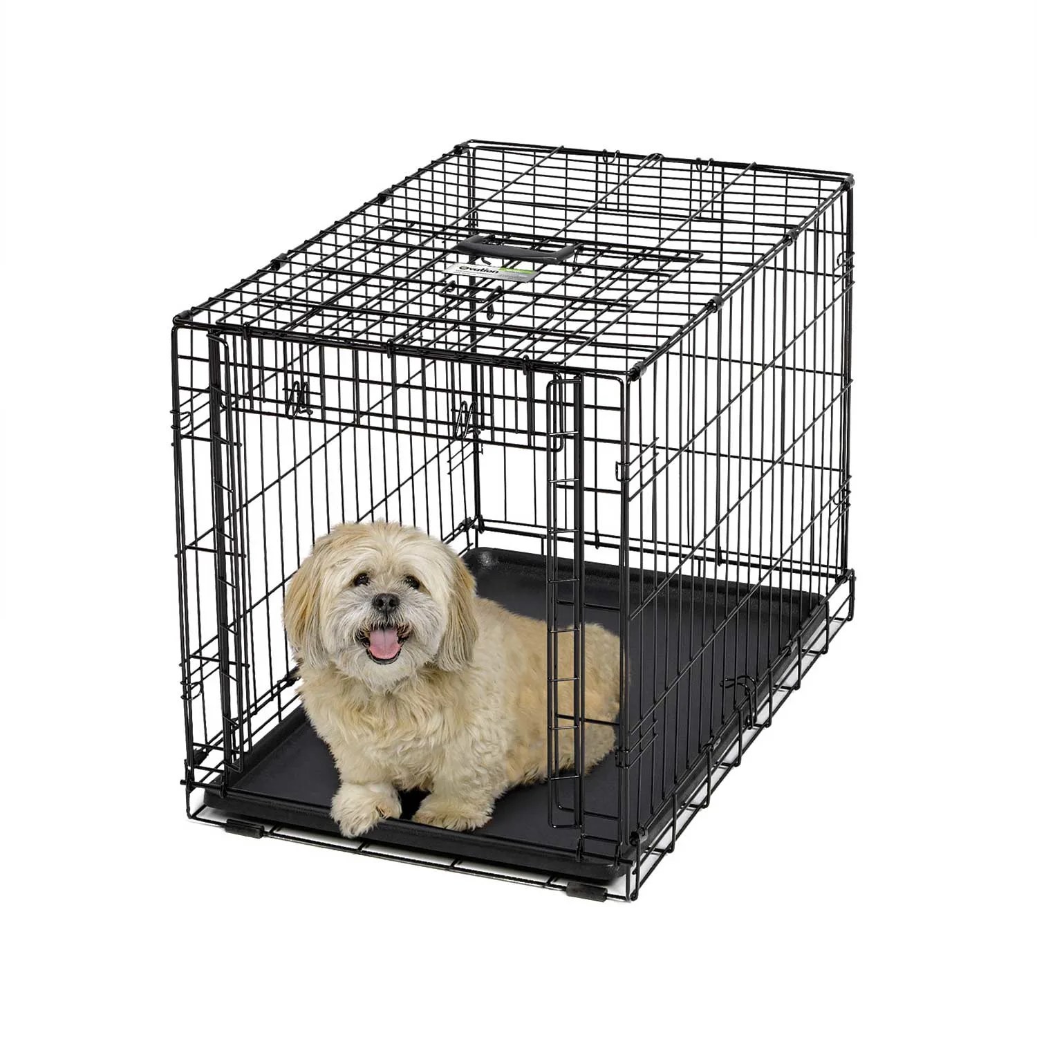 Midwest Ovation Single Door Folding Dog Crate, 31" L X 19" W X 21" H