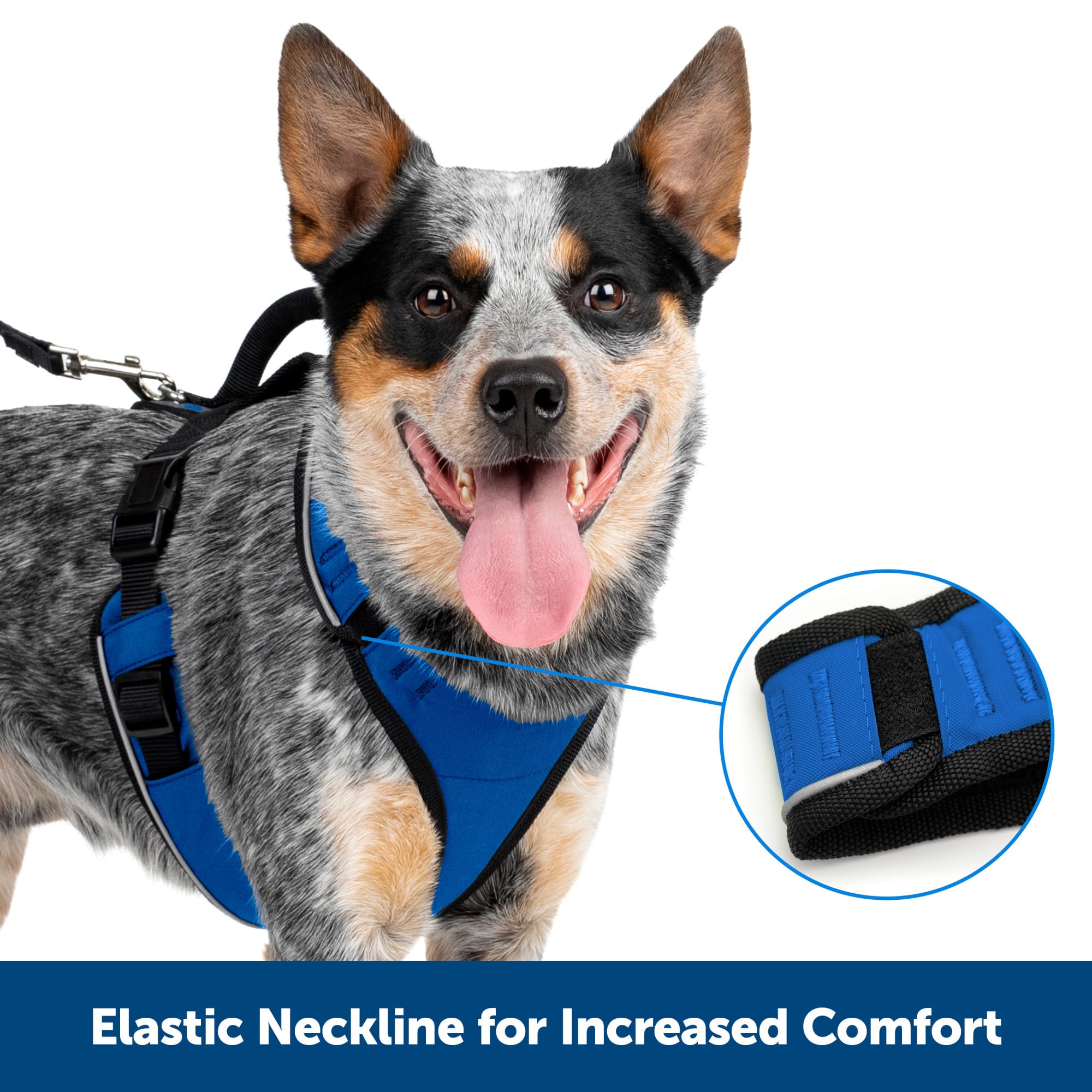PetSafe EasySport Black Dog Harness eBay