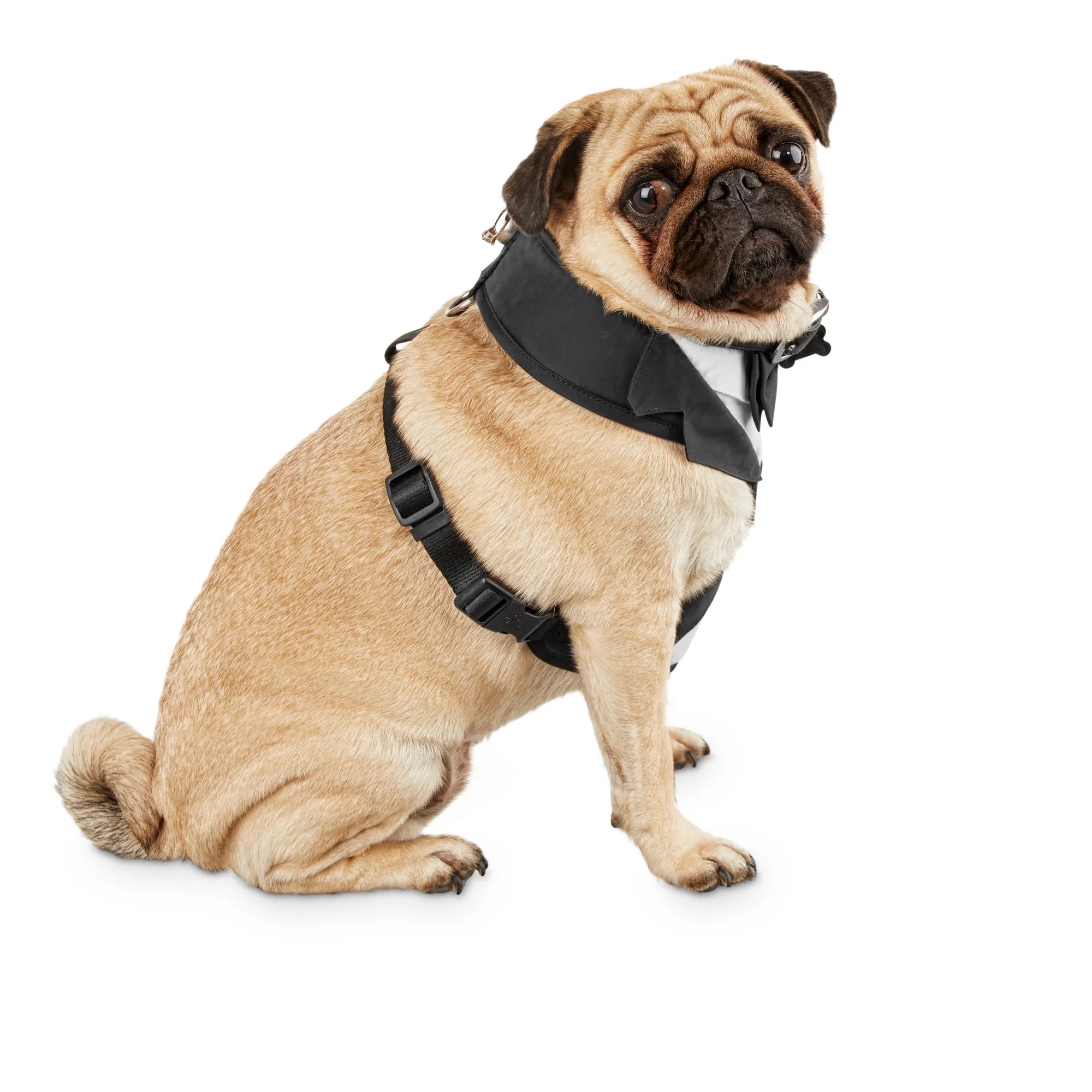 Bond & Co. Tuxedo Dog Harness eBay