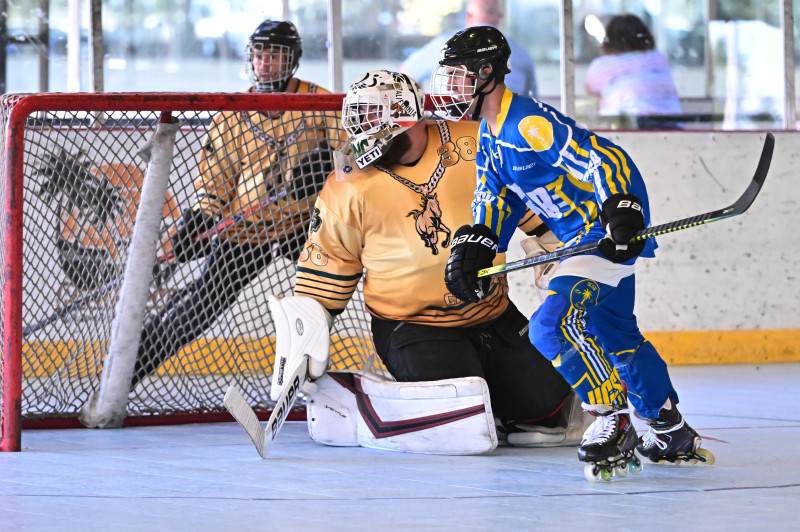News National Collegiate Roller Hockey Association