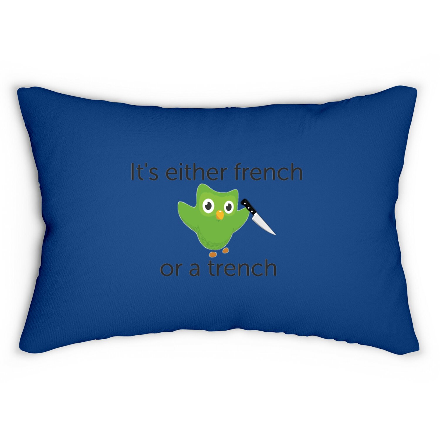 Duolingo Motivation French Lumbar Pillows sold by Christian Becker