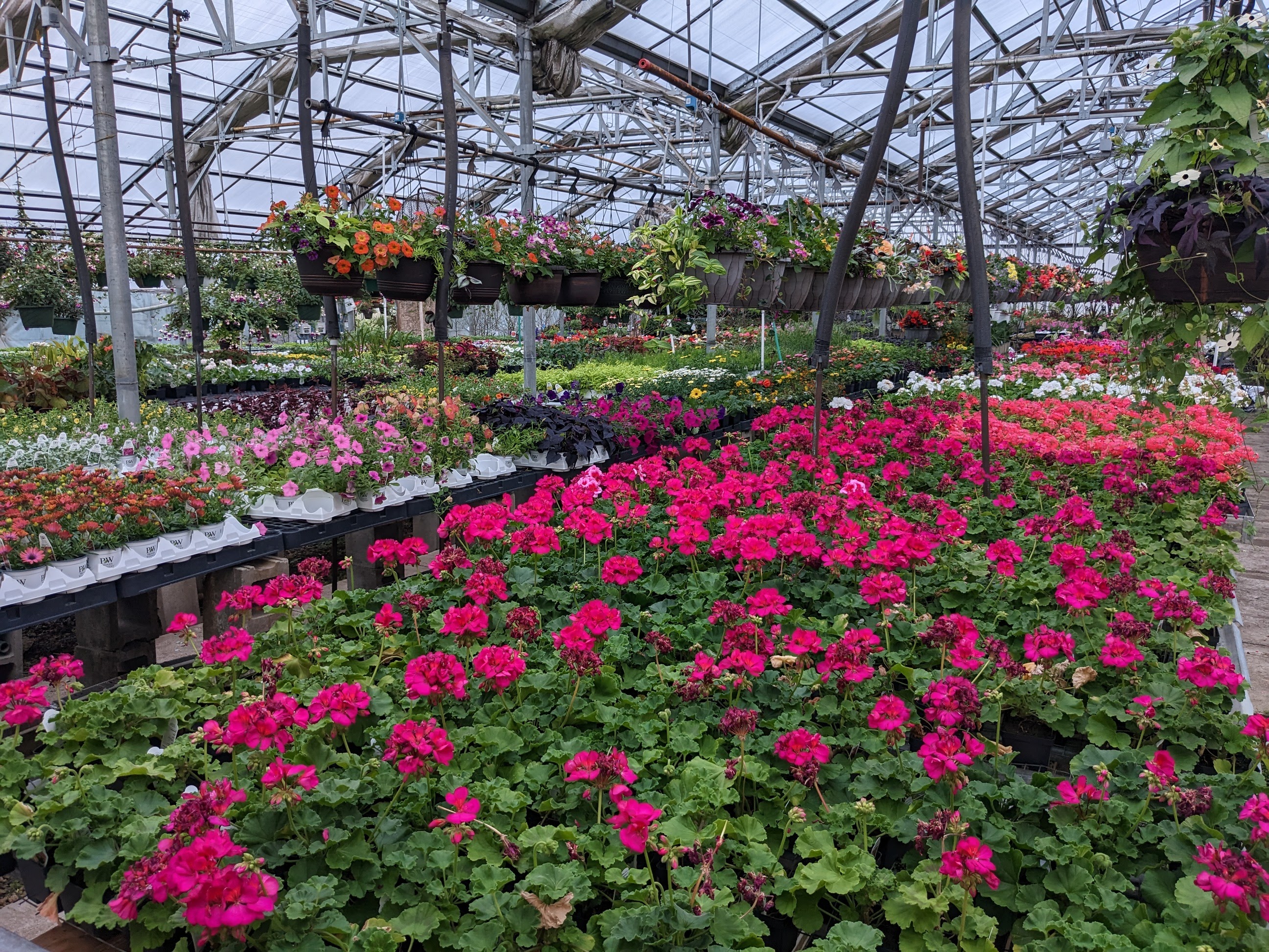 Garden Center for Baldwin Greenhouse
