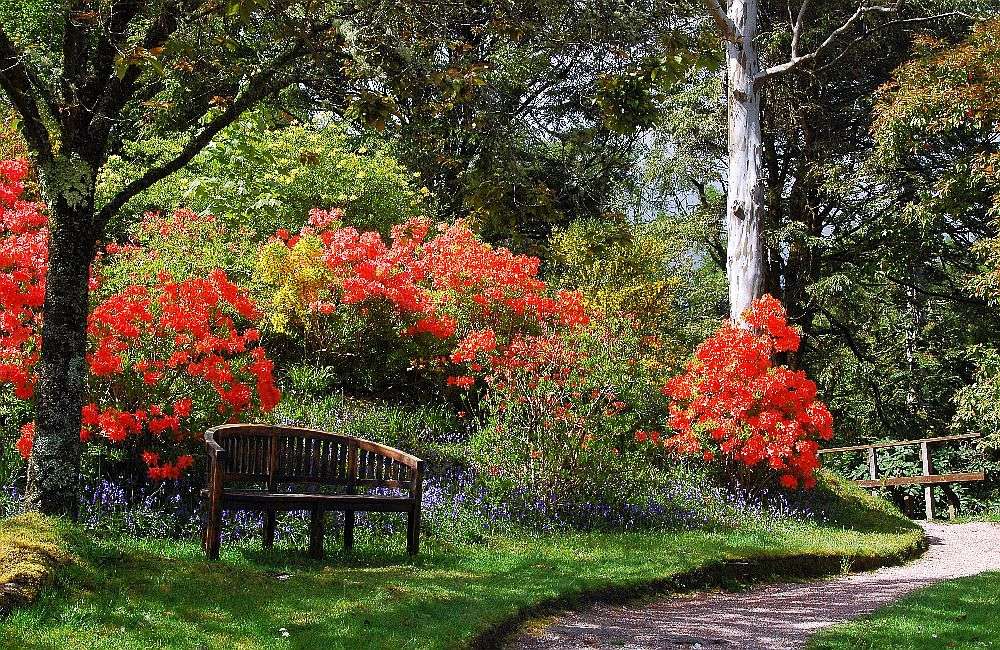 Crarae Garden Argyll Ecosse Puzzle Factory