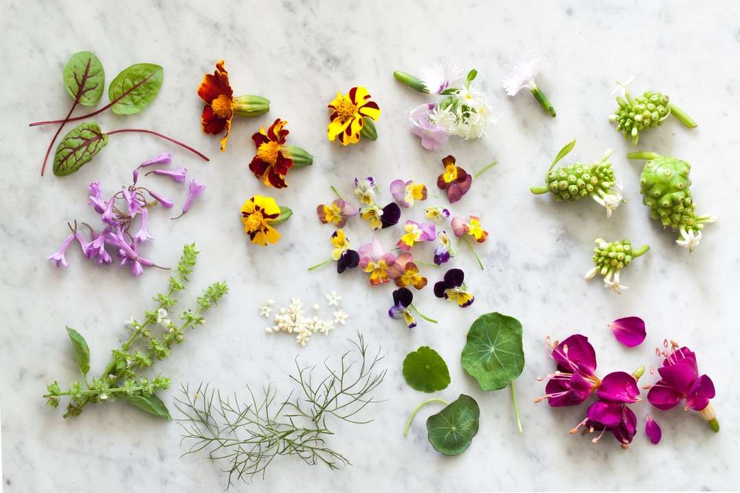 Edible flowers selected Puzzle Factory