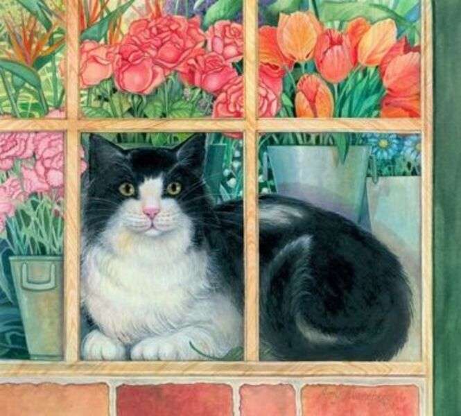 Kitten in the window 170 Puzzle Factory