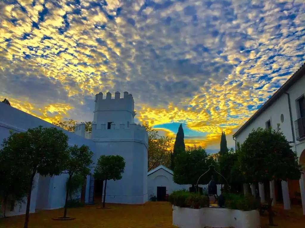 Tour de la Reine puzzle en ligne