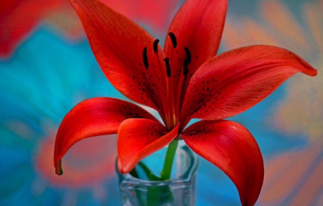 FLEURS Ułóż Puzzle Online za darmo na Puzzle Factory