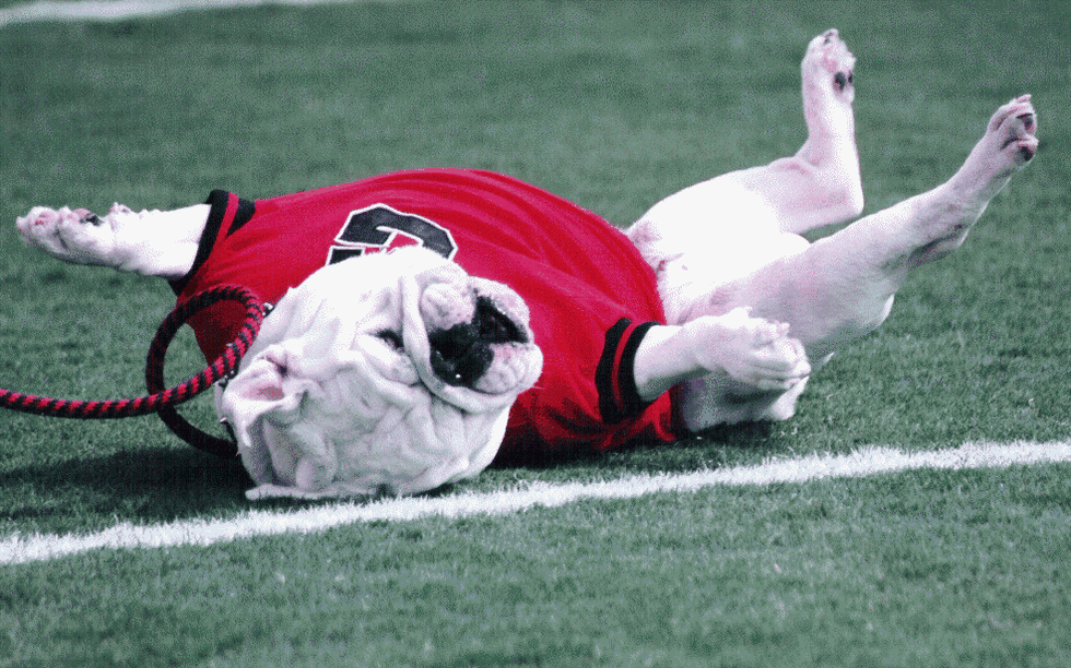 5 Facts About UGA Every Dawg Fan Should Know