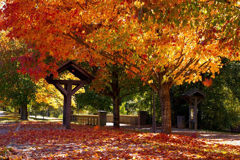 13 Things To Expect When It's Halloween In WinstonSalem
