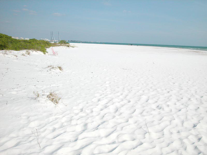 Why Siesta Key Beach Is 1