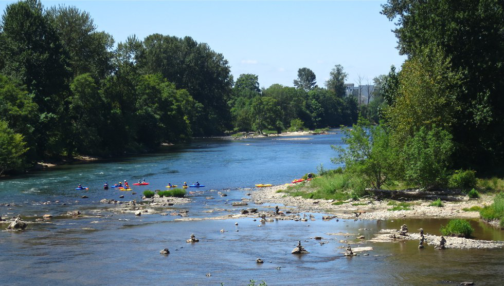 Eugene on a Sunny Day Why It's Hard to Beat