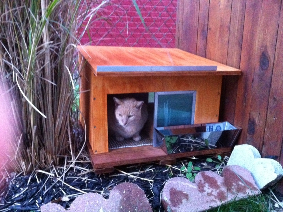 A Boom In Safe And Sometimes Swank Stray Cat Housing