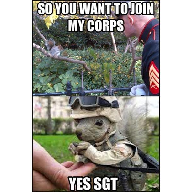 The 13 funniest military memes of the week We Are The Mighty