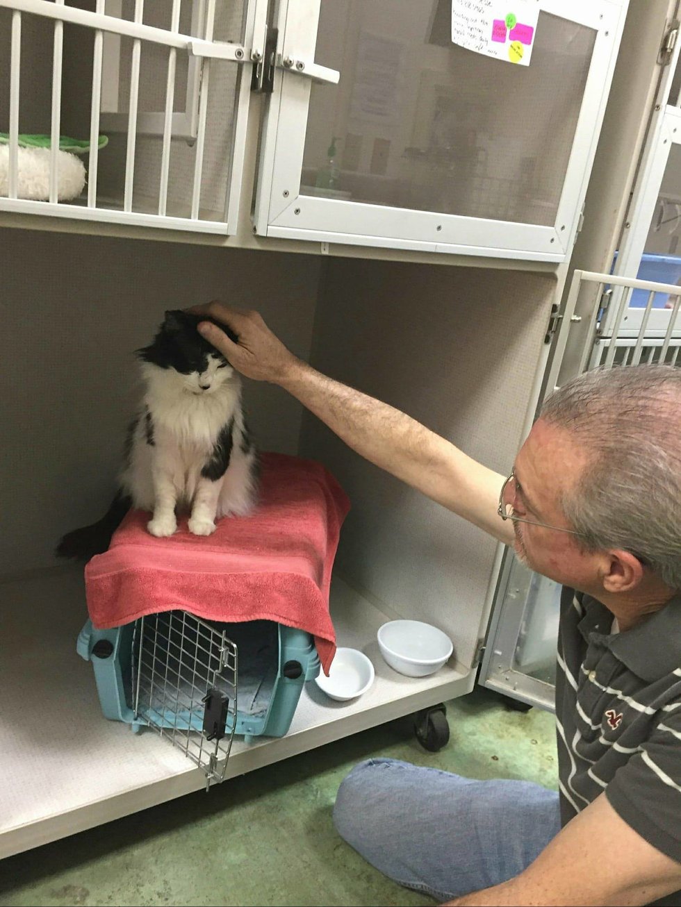 Cat Lived Most His Life in a Carrier, Gets Help to See and Finds