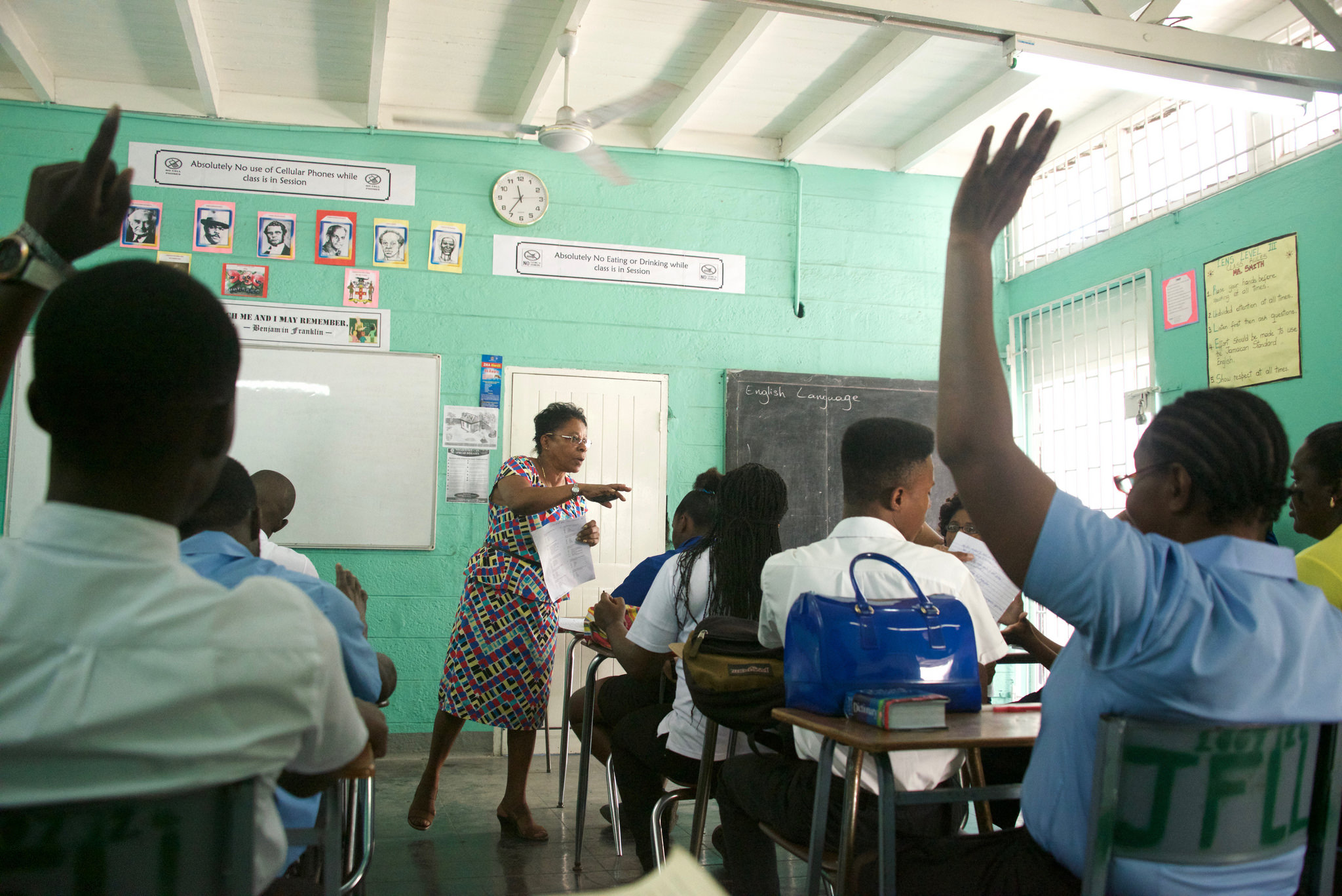 Distributors Portal Flowers Bakeries Onbaseline Com Best Flower Site