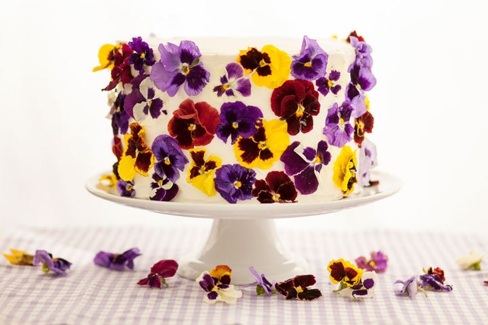 Edible Flower Cake Decorations Best Flower Site
