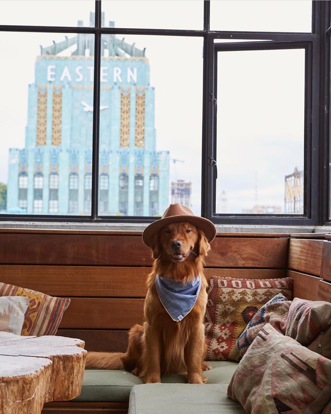 Dog Friendly Hotels caldawson45 Flipboard