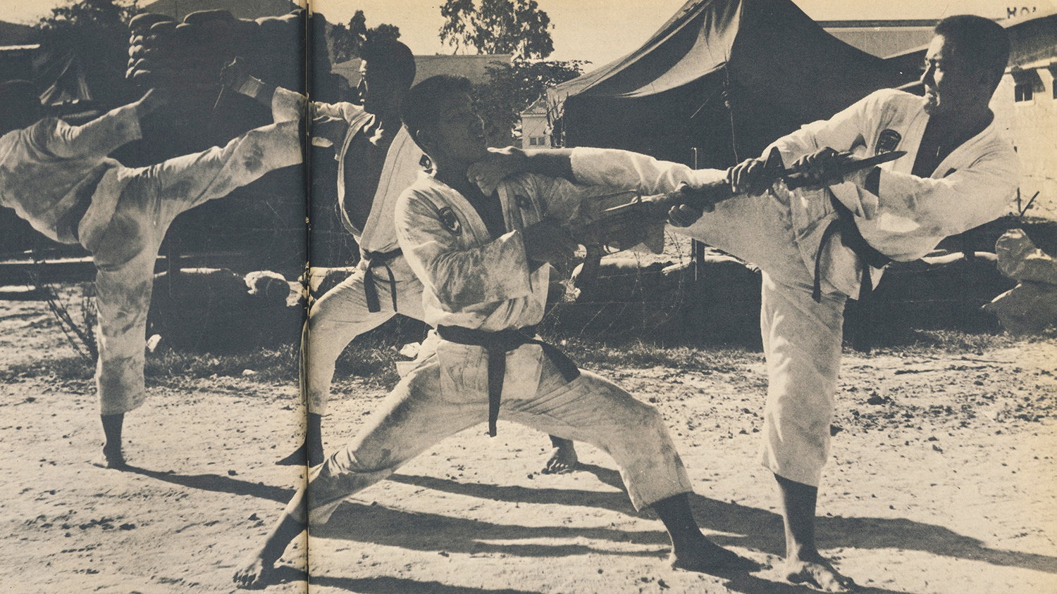 Taekwondo Korean Tigers