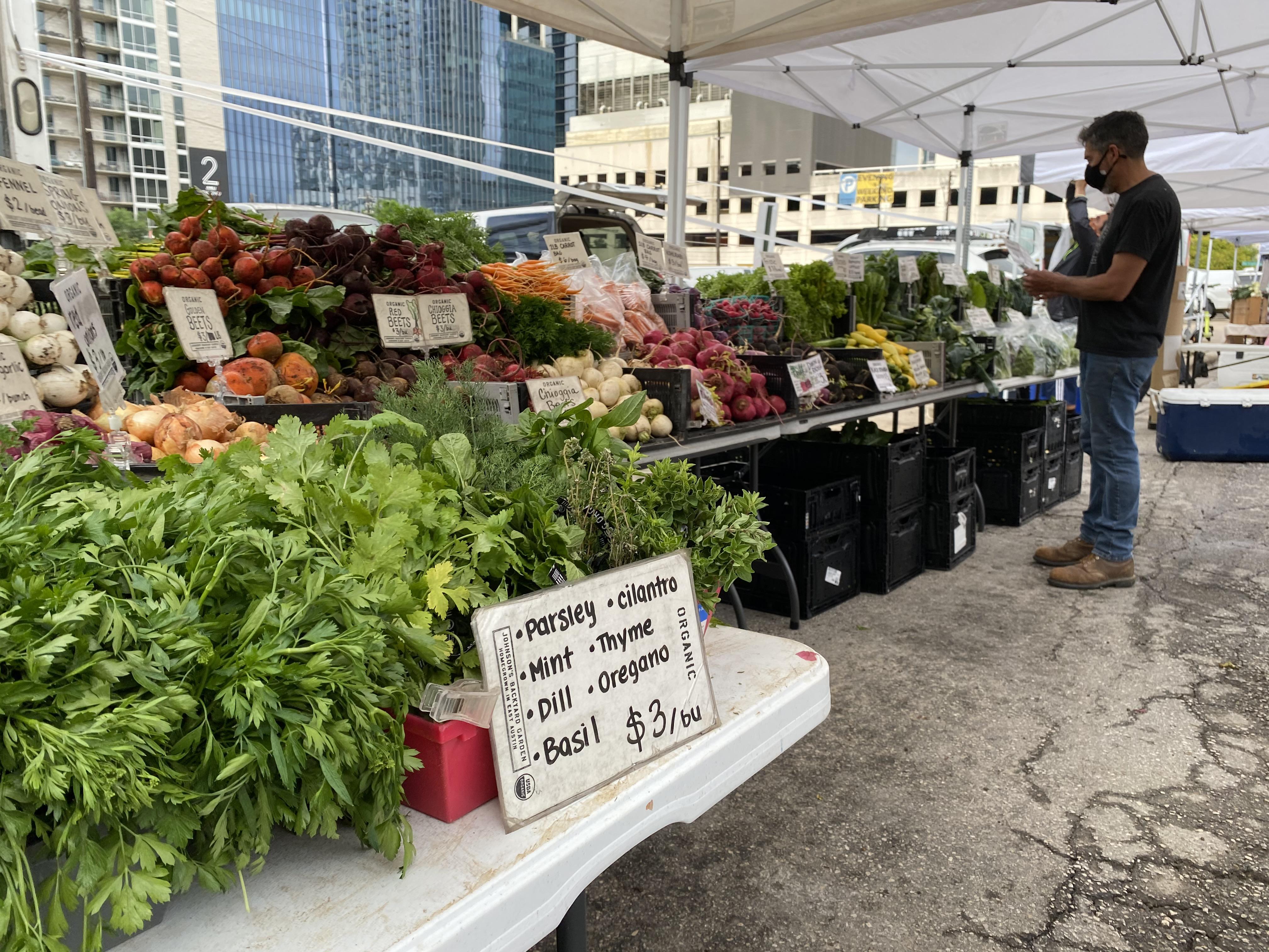 Sensational Gallery Of Johnson Backyard Garden Photos Laorexa