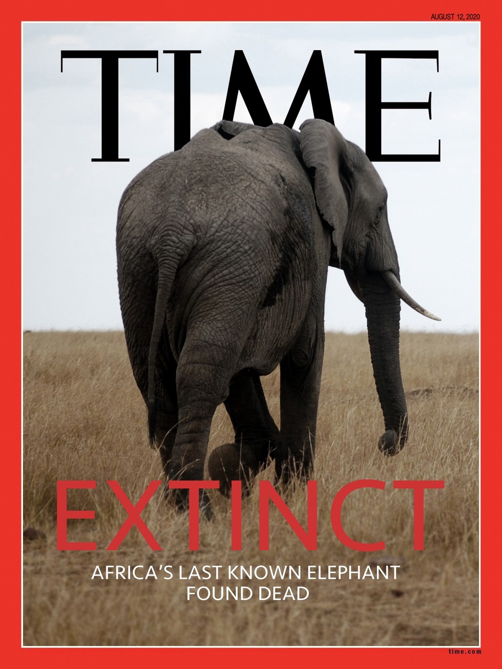 Fictional Magazine Cover Imagines The Day African Elephants Go Extinct
