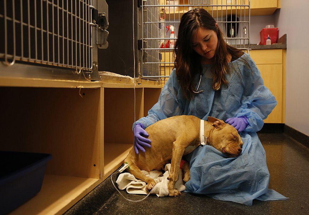 Whitlock Dave Portnoy and Andrew Tate are the natural outgrowth of a