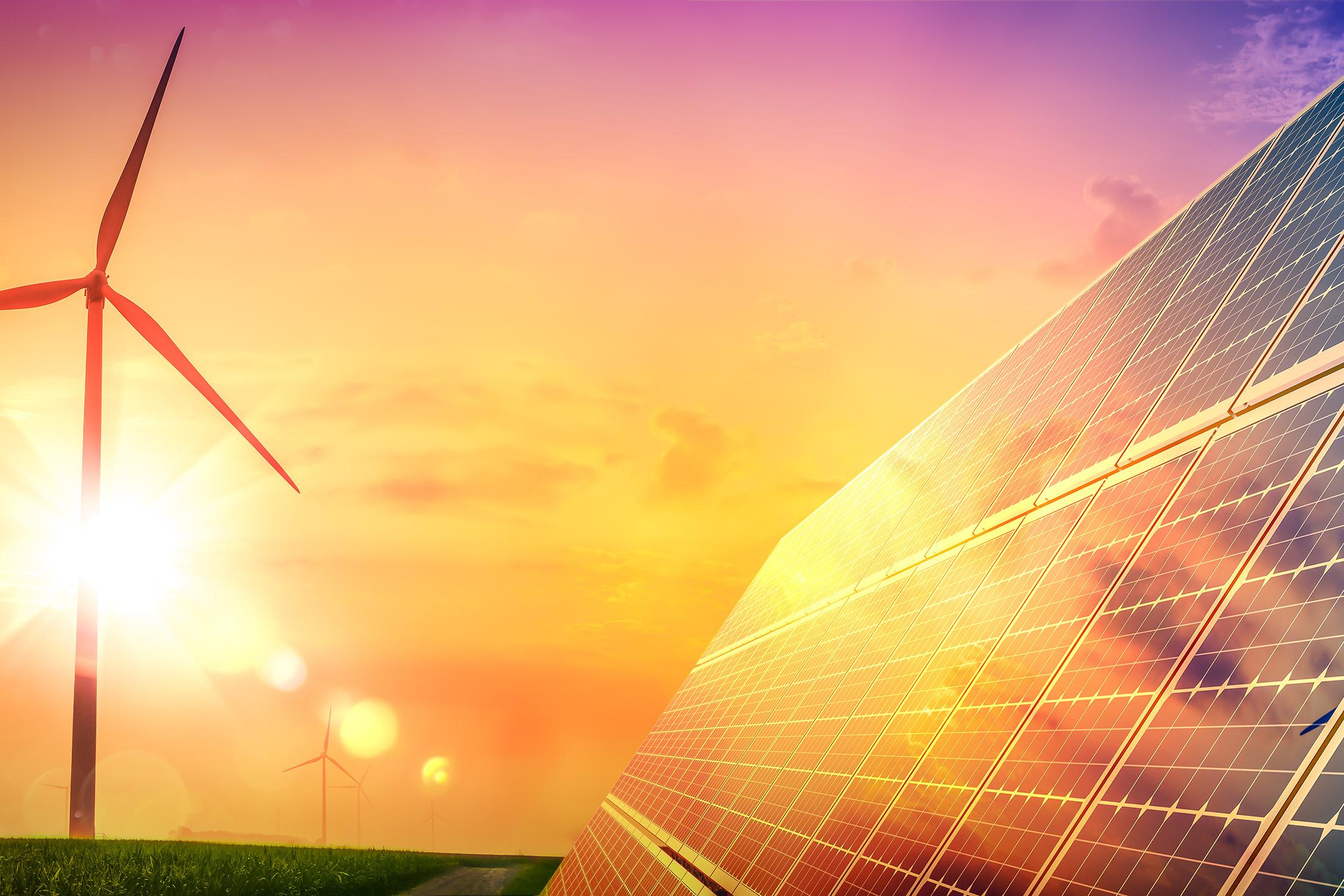 26+ Of Windmills And War Reviews