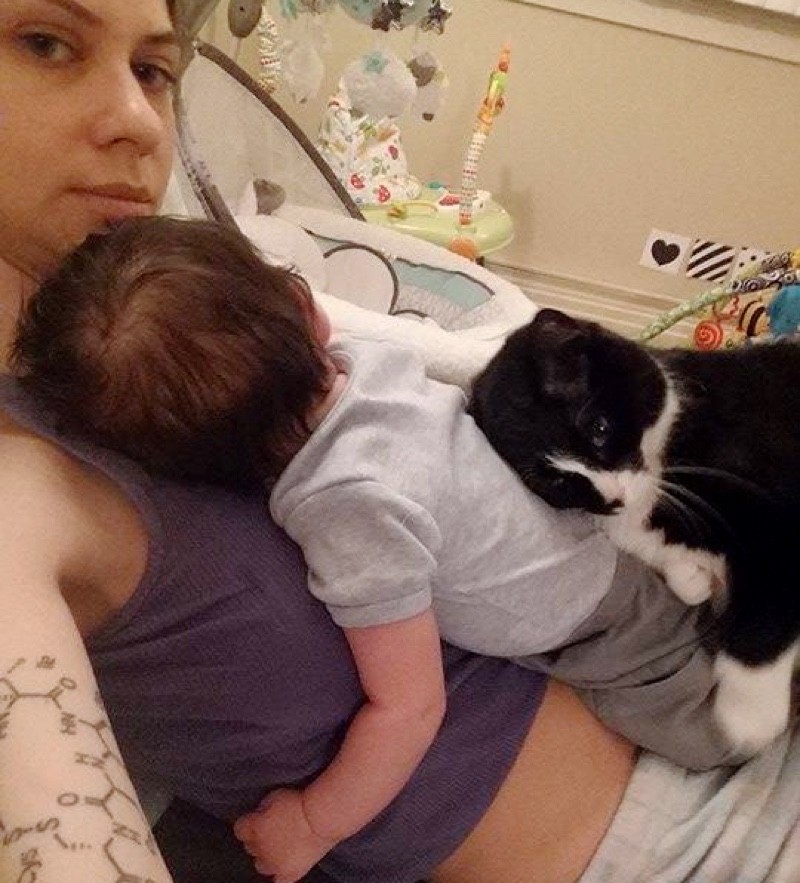 Cat Kept Baby Safe for 9 Months inside the Belly and Now Does the Same