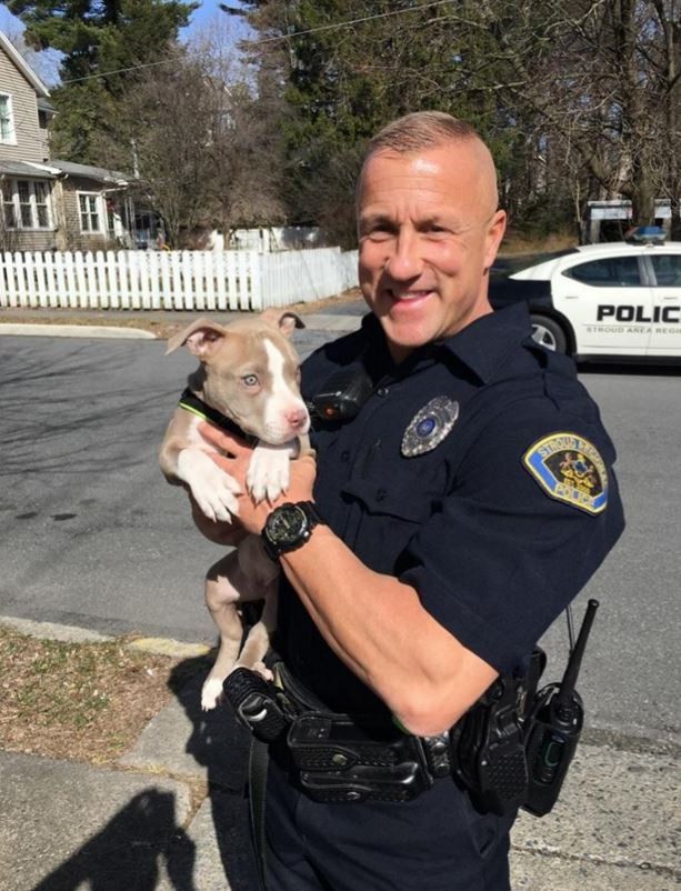 Cop Runs Into Burning House To Save Pit Bull Puppy