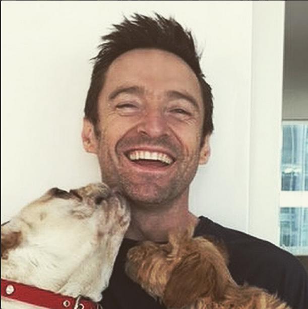 9 Perfect Photos Of Hugh Jackman Cuddling His Dogs