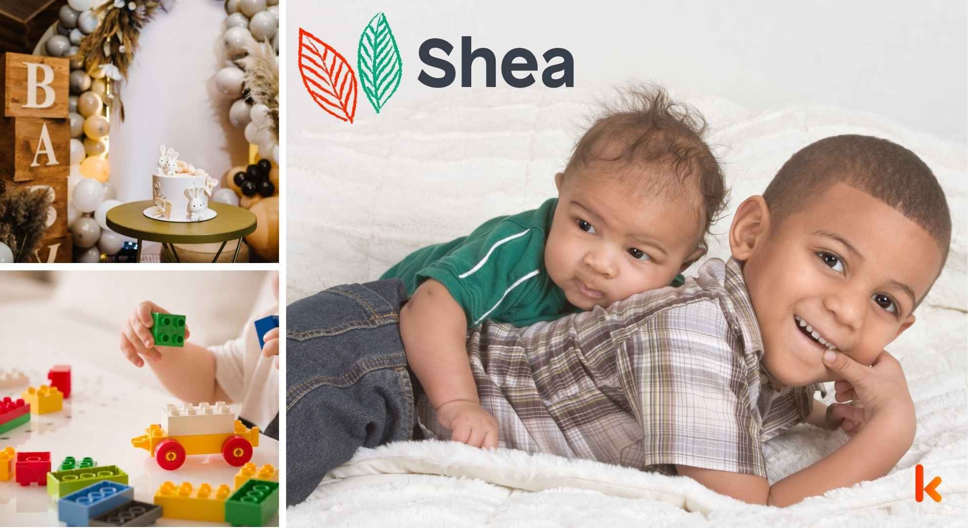 Meaning Of The Name Shea Baby Names Kidadl
