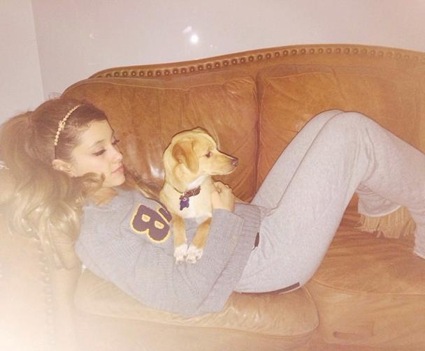 Ariana Grande Adds Dog Number 6 To Her 'Puppy Posse'