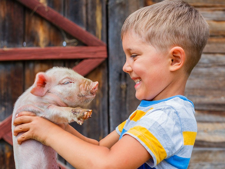 77 Laugh Out Loud Farm Jokes for Kids! Kidadl