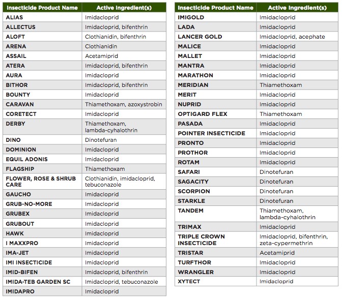 Pilot Study Finds Plants Sold As 'Bee Friendly' Pretreated With