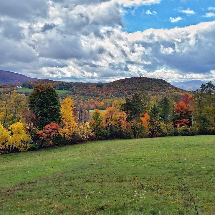 Nation's First Regenerative Farm Certification Bill Introduced in