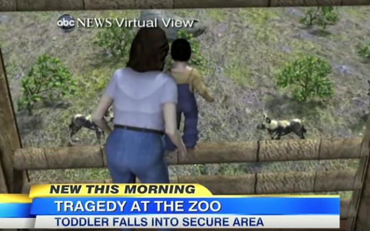 5 Times Animals Have Been Killed in Zoos Due to Human Encounters EcoWatch
