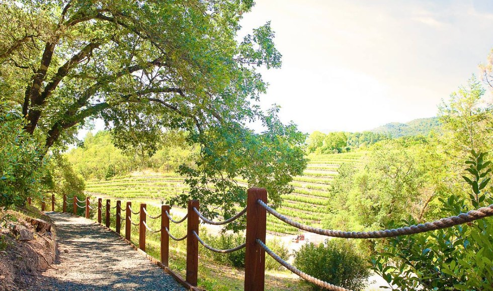 A Scenic Guide to Napa Valley's Mountaintop Tasting Rooms 7x7 Bay Area