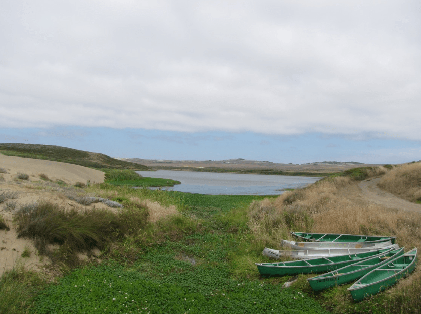 The Best Wildflower Hikes in the Bay Area This Spring! Haven Group