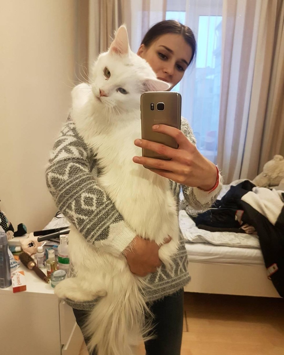 Cuddly Big Kitty Grows Up Hugging His Human Every Chance He Gets Love