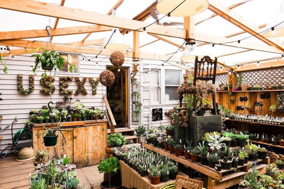 The Best Places to Buy Succulents, Cacti + Air Plants in