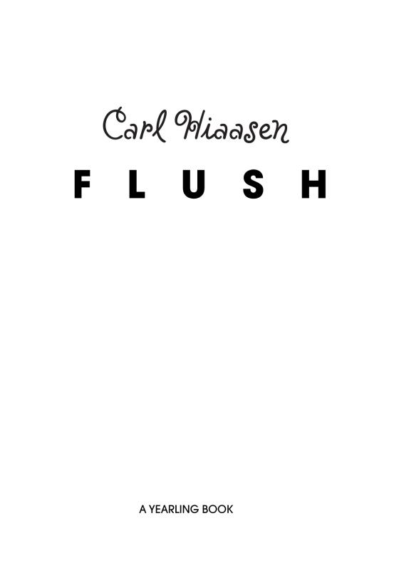 Flush by Carl Hiaasen 9780375861253 Brightly Shop