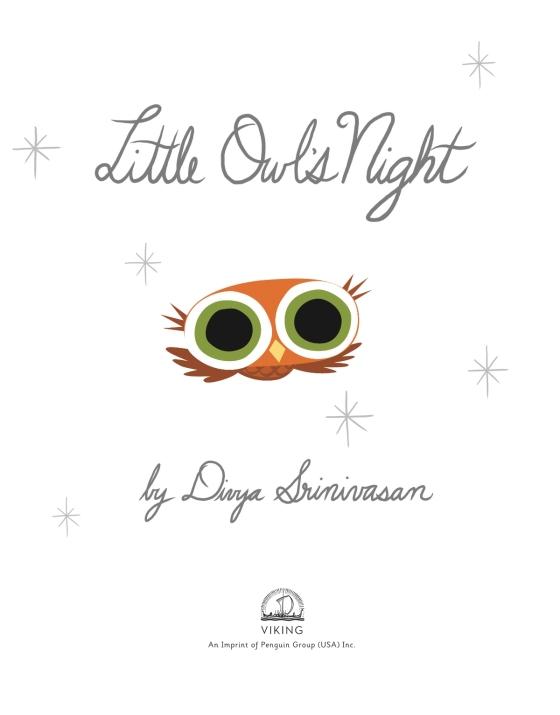 Little Owl's Night by Divya Srinivasan 9780670012954 Brightly Shop