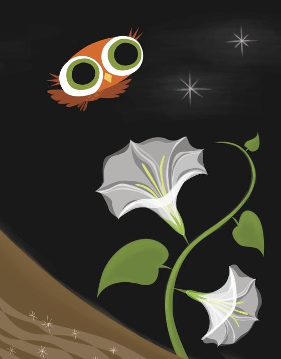 Little Owl's Night by Divya Srinivasan 9780670012954 Brightly Shop