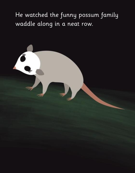 Little Owl's Night by Divya Srinivasan 9780670015795 Brightly Shop