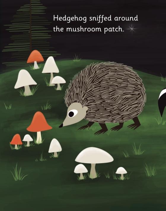 Little Owl's Night by Divya Srinivasan 9780670015795 Brightly Shop