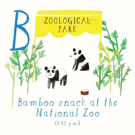 Mr. Boddington's Studio Washington, DC ABCs by Mr. Boddington's Studio 9781524793517