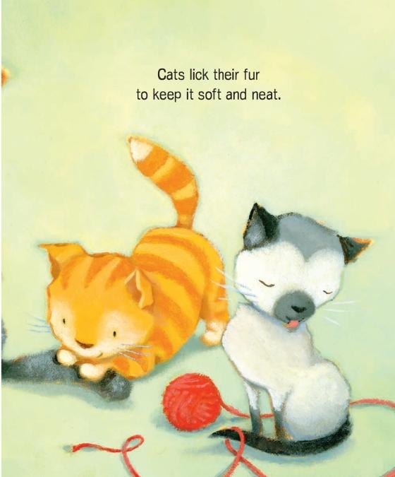 How Do Bunnies Take Baths? by Diane Muldrow 9780593127773 Brightly Shop