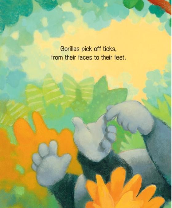 How Do Bunnies Take Baths? by Diane Muldrow 9780593127773 Brightly Shop