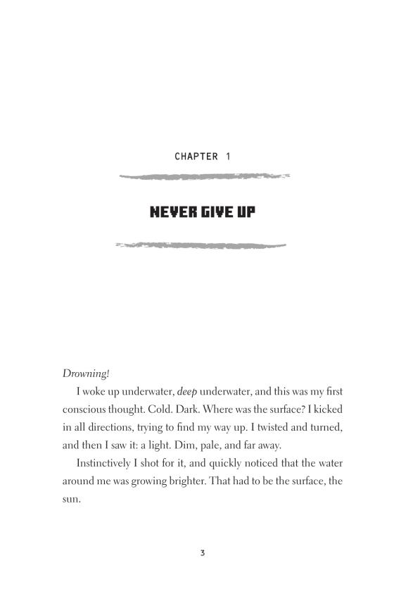 Minecraft The Island by Max Brooks 9780399181795 Brightly Shop