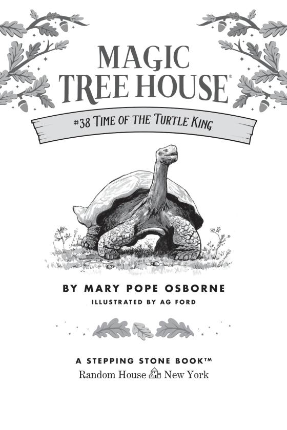 Time of the Turtle King by Mary Pope Osborne 9780593488546 Brightly Shop