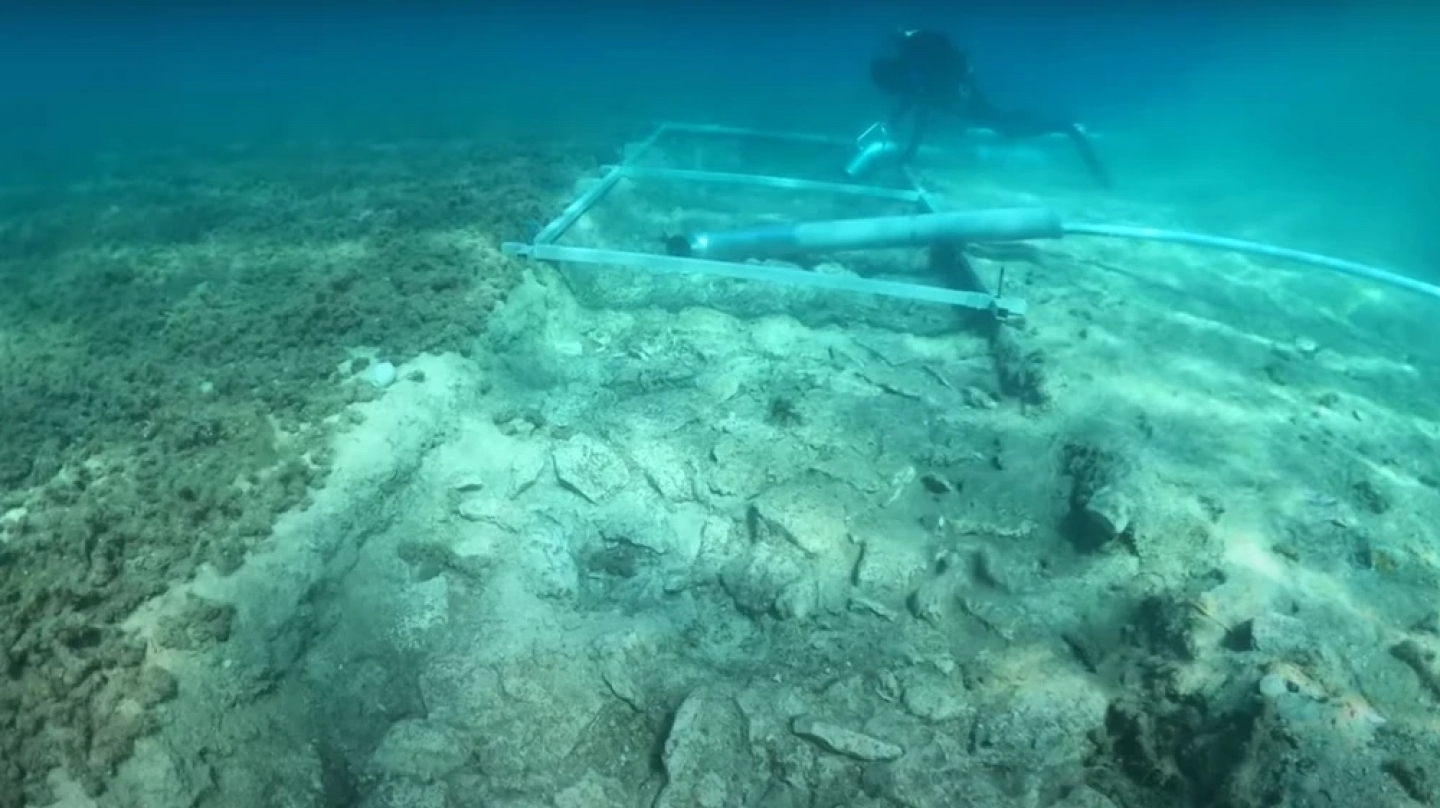 Archaeologists Find 7,000YearOld Road Underwater RealClearScience